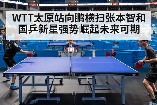 WTT太原站向鹏横扫张本智和国乒新星强势崛起未来可期