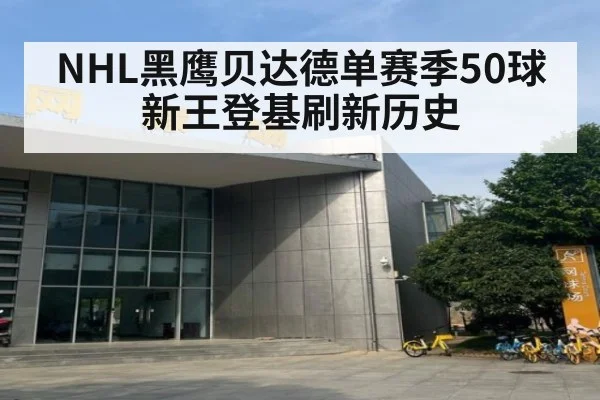 NHL黑鹰贝达德单赛季50球新王登基刷新历史